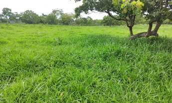 Imagem 2: Chácara disponível para venda em São Miguel do Passa Quatro Goiás