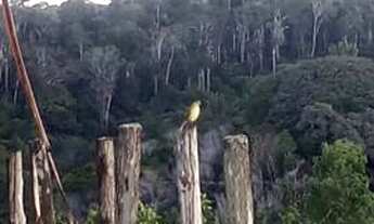 Imagem: Fazenda Brisa da Tarde