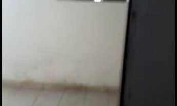 Imagem 6: Casa e ponto comercial em Viçosa-al