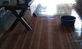 Imagem 6: Sítio com 10.000m² a 27km de Uberlândia