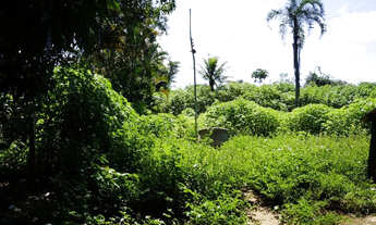 Imagem 5: Lote 10 mil m2- Novo Gama -Jardim Pedregal- metros do centro