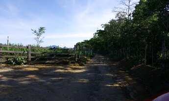 Imagem 3: Sítio em Belvedere