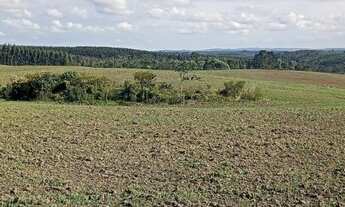 Imagem 2: Exelente área de lavoura