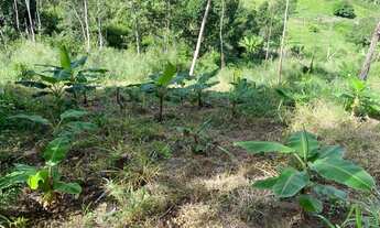Imagem 4: Fazenda pequena 150.000 mil