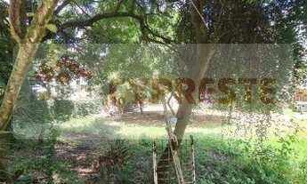 Imagem 7: Terreno à Venda, 0m