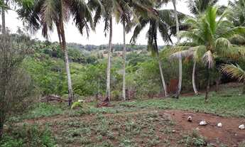 Imagem 4: TERRENO EM CAJAZEIRAS DE ABRANTES