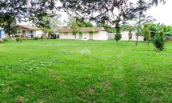 Imagem 4: Vendas Terreno Quatro Barras PR