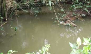 Imagem 5: Fazenda 525 hectares em Oriximiná/para