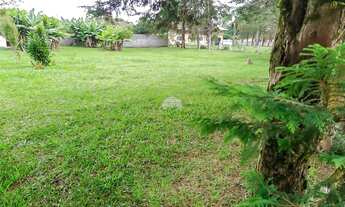 Imagem 3: Vendas Terreno Quatro Barras PR