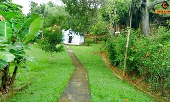 Imagem 4: SÍTIO EM LAURO DE FREITAS