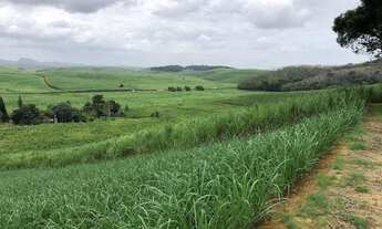Imagem 6: Propriedade Rural em Escada-PE com 30 hectares, a 150 metros das Margens da BR-101