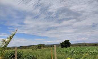 Imagem 7: Linda Fazendinha próximo a Serra do Cipó - São José da Serra R$30.000 + parcelas!