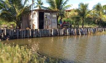 Imagem 4: Vendo Viveiro no Albano Franco