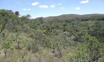 Imagem 4: Terreno rural 15ha com luz, mata nativa, Serra do Cipo (Temos varias opçoes)