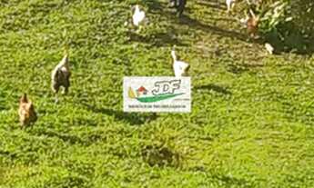 Imagem 3: Sítio à venda no bairro Centro - Sete Barras/SP