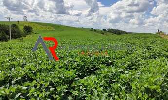 Imagem 4: SITIO RURAL em SÃO MIGUEL ARCANJO - SP, SÃO MIGUEL ARCANJO