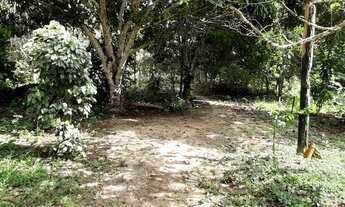 Imagem 2: Vende-se Fazenda no Município de Placas-PA