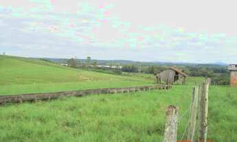 Imagem 5: Área de 22,14 hectares em General Câmara, RS