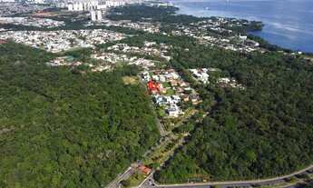 Imagem 5: Mansão duplex com 4 suítes, elevador, piscina ampla com cascata.Agende sua visita!