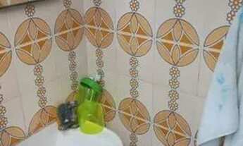 Imagem 2: São Paulo - Casa Padrão - Vila Formosa