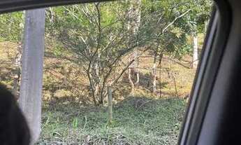 Imagem 5: Chácara / Terreno 17.000,00 Juquitiba SP