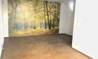 Imagem 2: APARTAMENTO 2 QUARTOS SALA AMPLA 1 VAGA AO LADO DO MUSEU DO IPIRANGA