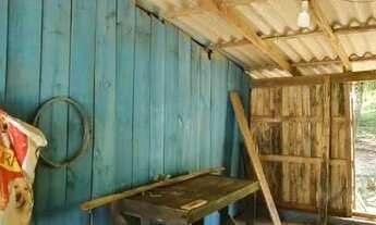 Imagem 5: Lindo sítio de 8.800m2, muito bem localizado