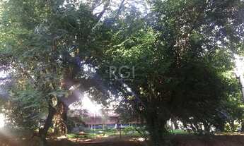 Imagem 8: Apartamento para Venda - 43m², 1 dormitório, Cristo Redentor