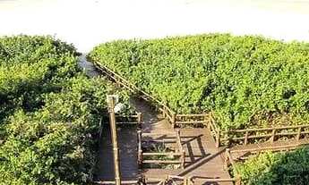 Imagem 6: Apartamento para Venda no bairro Ingleses do Rio Vermelho