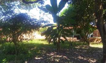 Imagem 4: Casa Taboca do Pau Ferrado (Jardim das Palmeiras