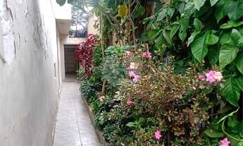 Imagem 2: São Paulo - Casa Padrão - CAMPO BELO