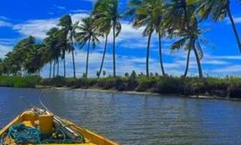 Imagem 3: Aluga -Se diária na praia da pipa