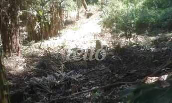 Imagem 7: São Paulo - Terreno Padrão - Tucuruvi