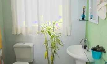 Imagem 2: Sobrado para venda com 200 m² com 4 quartos em Carianos - Florianópolis - SC