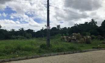 Imagem 6: Terreno de 915m² - Rua Calçada no Centro