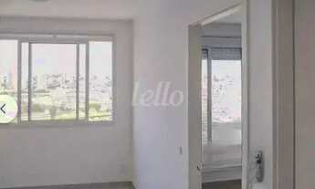 Imagem 6: São Paulo - Apartamento Padrão - Cambuci