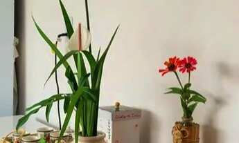 Imagem 6: Última chance]Casa Padrão 8 quartos para Venda - Km6