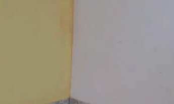 Imagem 2: Apto no Nova esperança