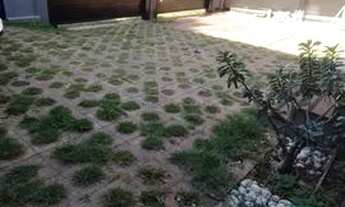 Imagem 2: Ótimo Imóvel Comercial Jardim Cuiabá