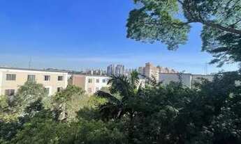 Imagem 3: Apartamento no Campo Limpo