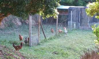 Imagem 6: Vendo sítio 1,6 alqueires na represa