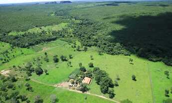 Imagem 4: Fazenda em Ponte Alta. Beira do asfalto. Troca
