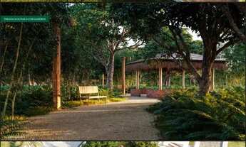 Imagem 7: Lote à venda no RESERVA DA FOZ , PORTO DA RUA, São Miguel dos Milagres, AL