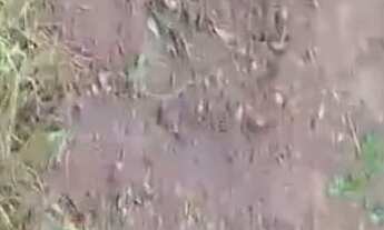 Imagem 2: Vende se um terreno . tamanho 10x30 área plana