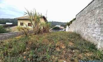 Imagem 6: TERRENO - LOTEAMENTO ANA CAROLINA II - SP