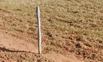 Imagem 7: Fazenda de 65 alqueires em Pirenópolis-GO