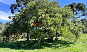 Imagem 7: Chácara em Estrada Josafaz - Contendas - São Francisco de Paula/RS