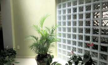 Imagem 8: Casa à Venda em Centro, Ponta Grossa - PR