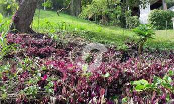 Imagem 6: Terreno à venda, 560 m² por R$ 135.000,00 - Serra Grande - Niterói/RJ