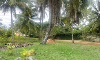 Imagem 2: Lote à venda em rua pública, JACUÍPE , Camaçari, BA